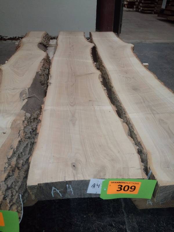lot 309 image: 8 Live Edge Ash 3 Thick Slab