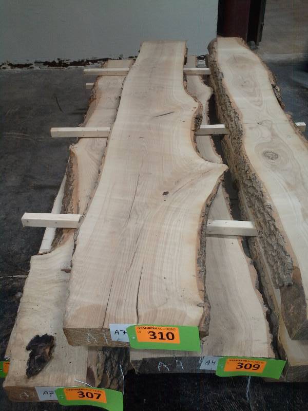 lot 310 image: 8 Live Edge Ash 3 Thick Slab