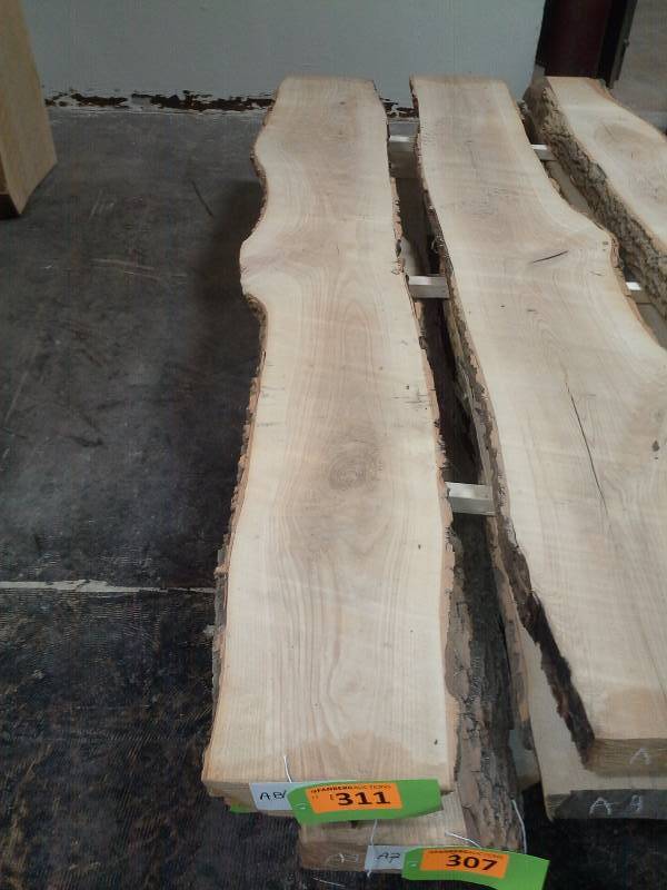 lot 311 image: 8 Live Edge Ash 3 Thick Slab