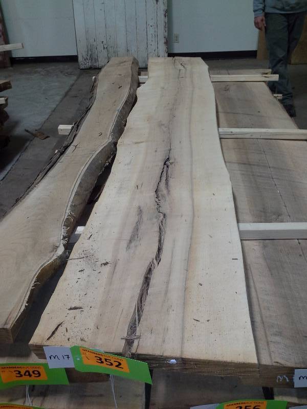 lot 352 image: 8 Live Edge Maple Slab