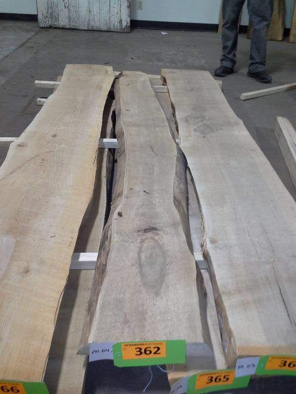 lot 362 image: 8 Live Edge Maple Slab
