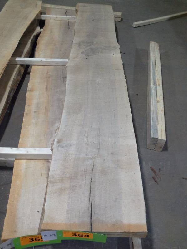 lot 364 image: 8 Live Edge Maple Slab