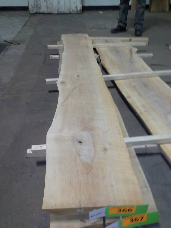 lot 366 image: 8 Live Edge Maple Slab