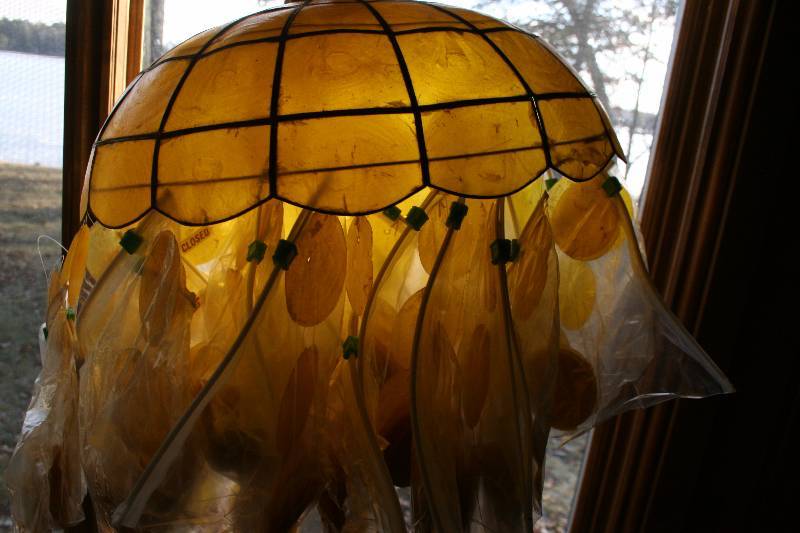 Seashell Lamp