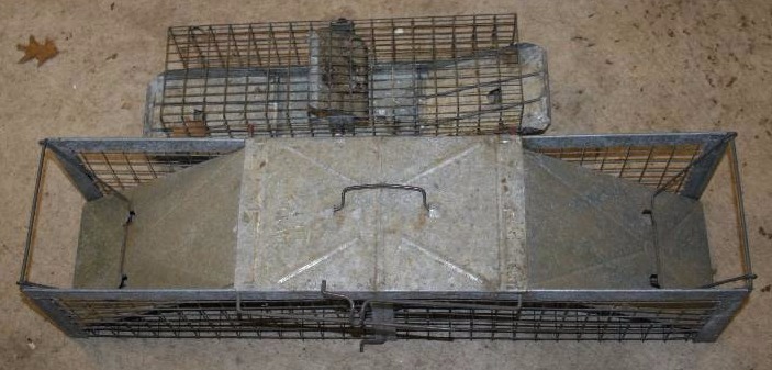 Live Traps