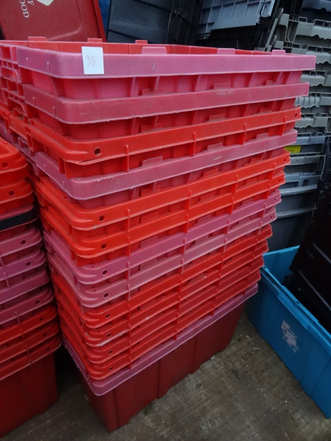 13 heavy duty plastic totes. 20 x 2...