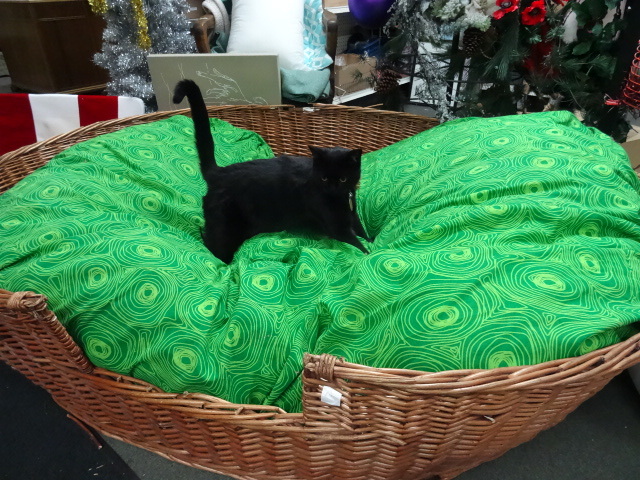 Very large wicker dog bed. With pil...
