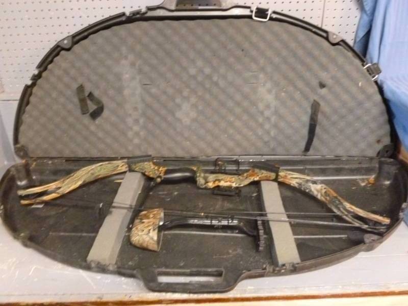 Compound Bow