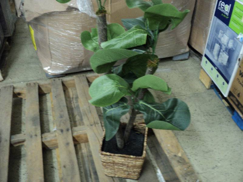 artificial plant 40in tall...