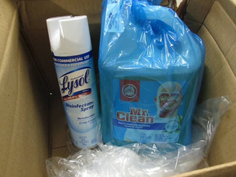 1 Gallon Mr Clean Multipurpose Clea...