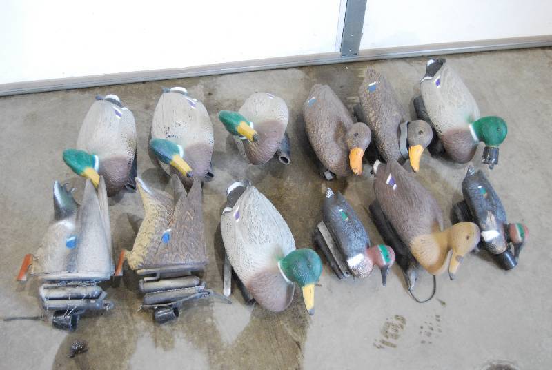 sportsman 166