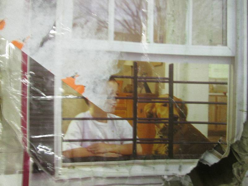 lot 299 image: metal window security guards ...