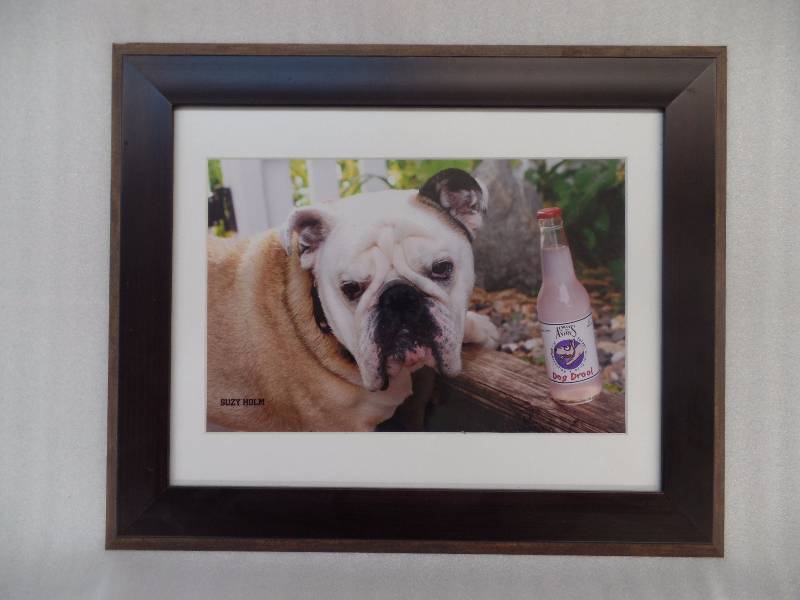 Bulldog picture w Dog Drool
