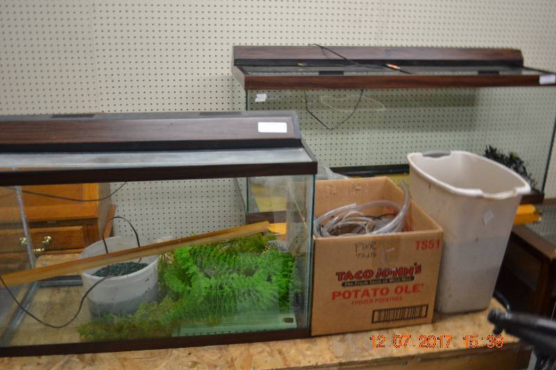 lot 59 image: Aquarium