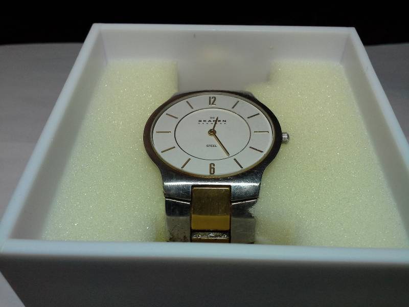 Skagen Mens Watch