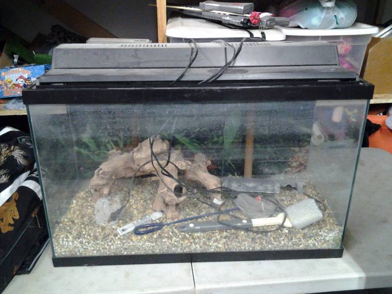 lot 2 image: Aquarium 30x18x12