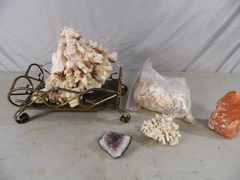 lot 82 image: Coral, Seas Shells, More