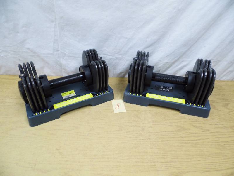 lot 18 image: Golds Gym Adjustable Weight Dumbells