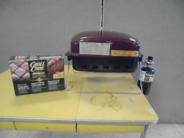 Portable Gas Grill with Ceramic Briquettes