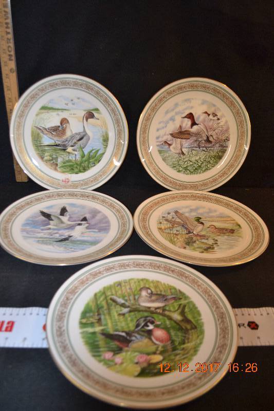 5 Plates Collection of Ducks