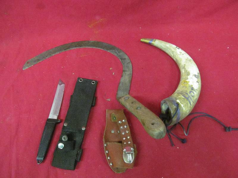 lot 86 image: cye,horn, knife