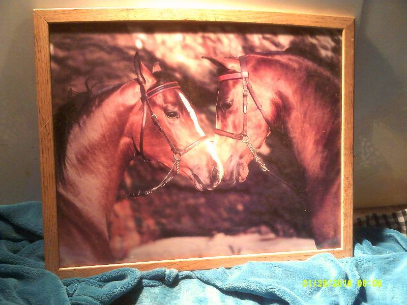 lot 63 image: HORSE PICTURE