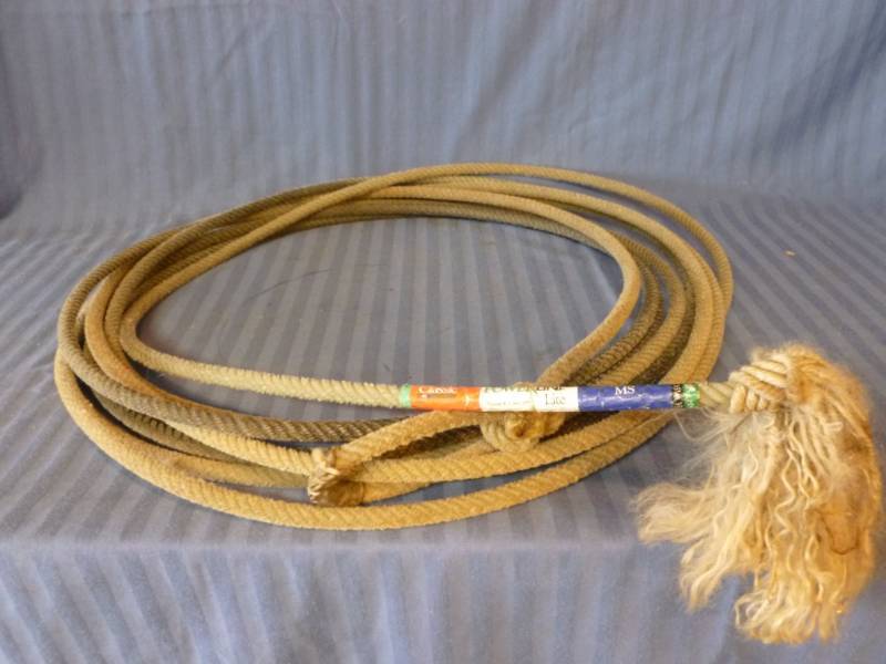 lot 158 image: Horse Equipment
