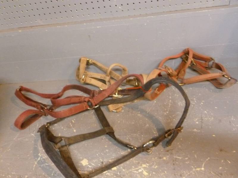 lot 181 image: Horse Equipment