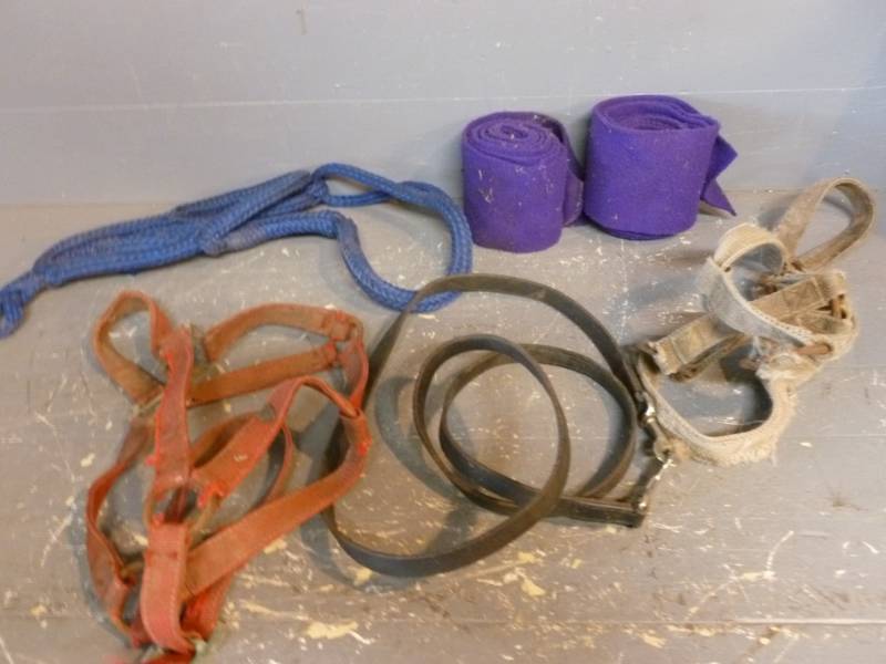 lot 182 image: Horse Equipment