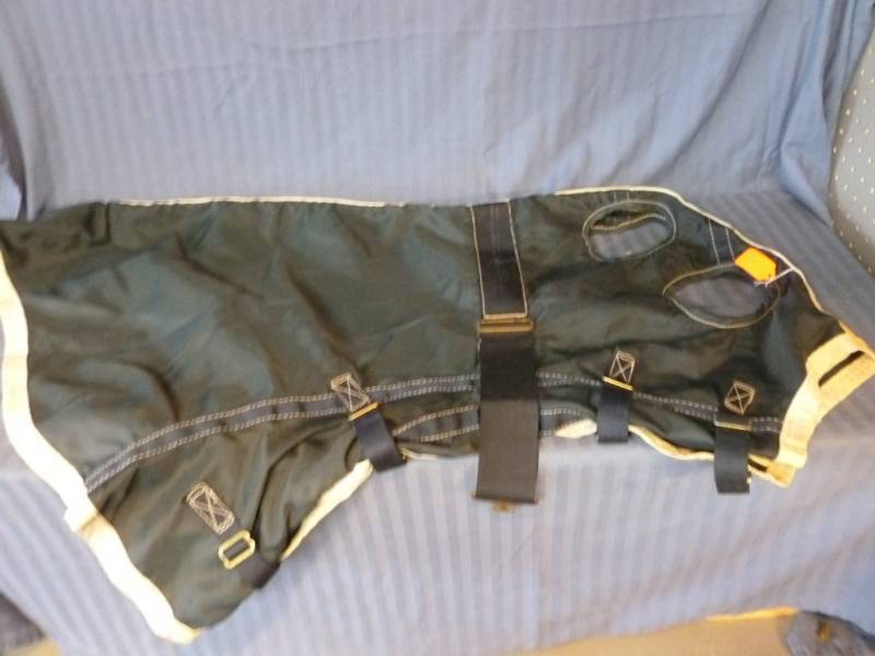 lot 184 image: Horse Equipment