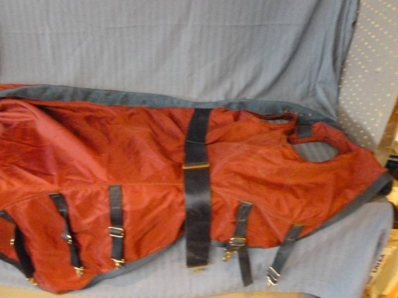 lot 186 image: Horse Equipment