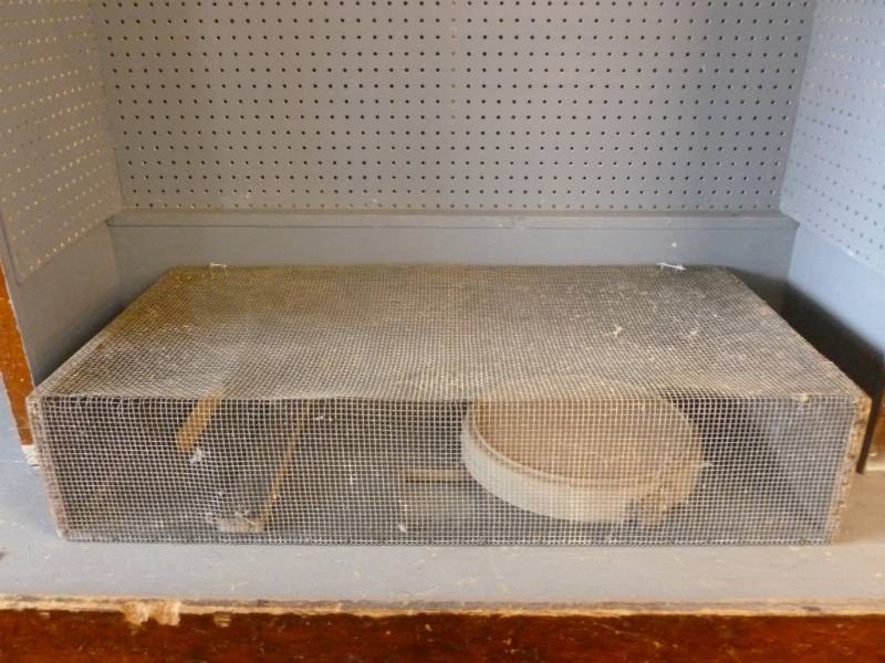 lot 207 image: Animal Cage