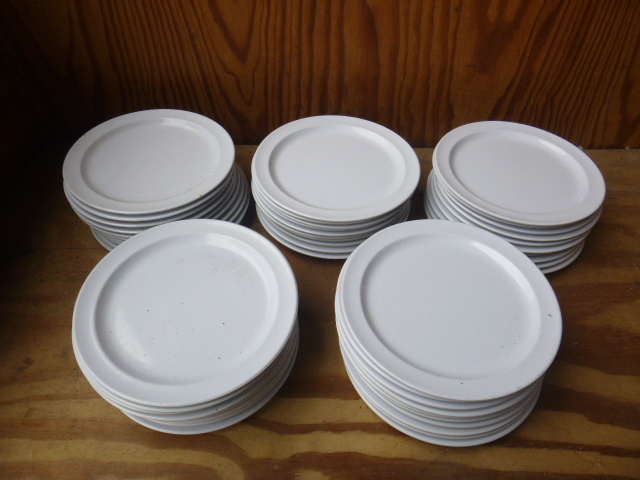 lot 169 image: 50 Plastic Plates