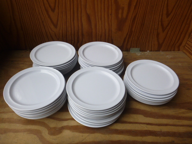 lot 170 image: 48 Plastic Plates