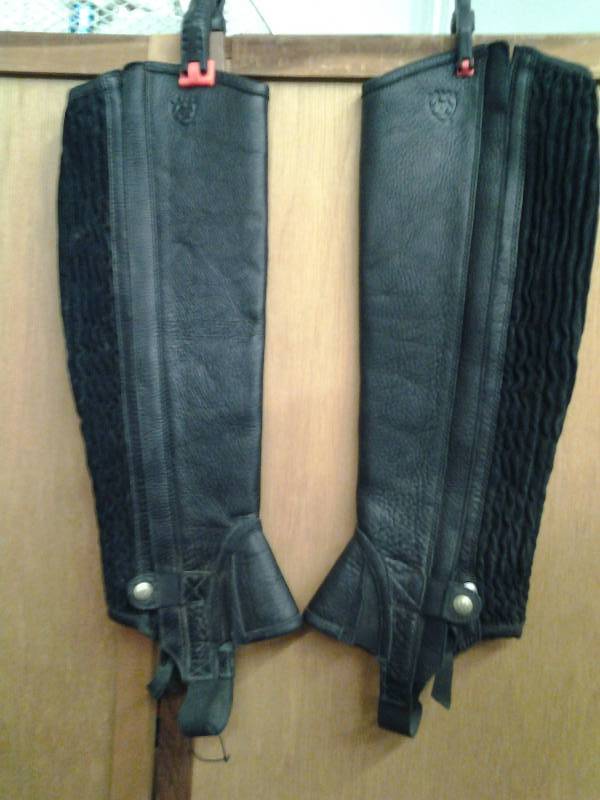 lot 11 image: Ariat Allaround Half Chap 111 Medium Genuine Leather