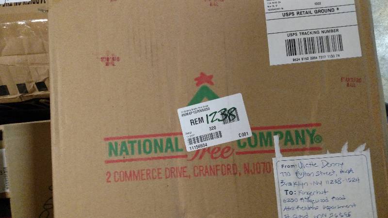 lot 1238 image: National Tree Company 18 Glittery Bristle Pine Snowflakes