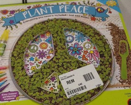 lot 1062 image: Plant Peace