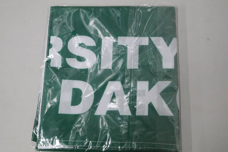 lot 42 image: Fighting Sioux Banner