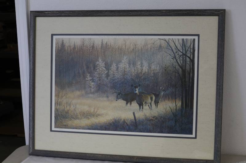 lot 172 image: Whitetail Deer Print