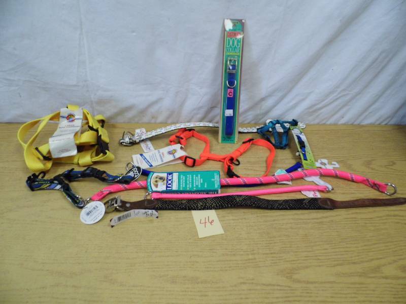 Assorted New Dog Collars
