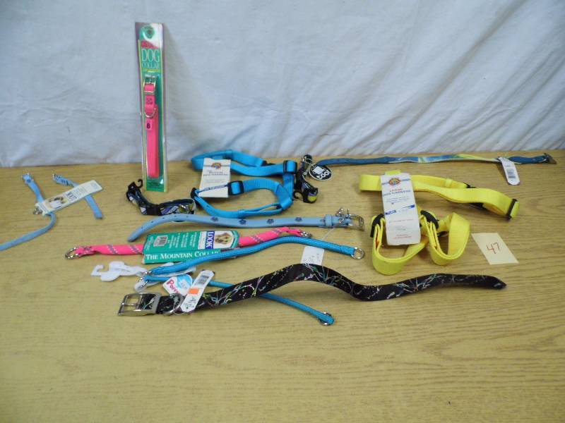 Assorted New Dog Collars