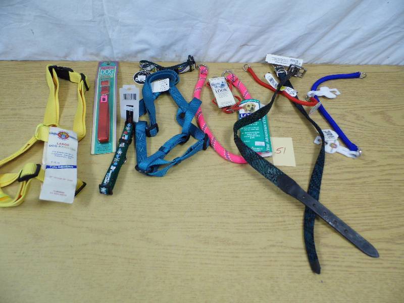 Assorted New Dog Collars