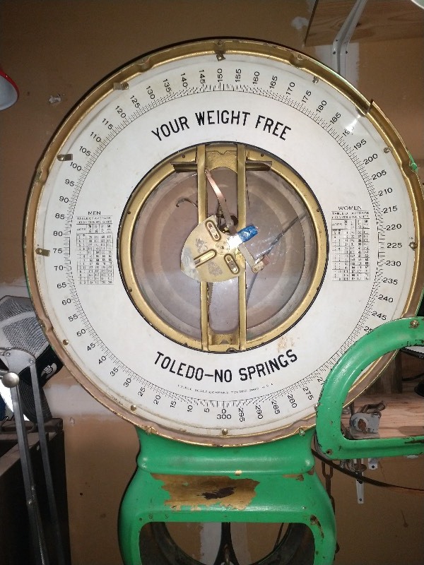 Teledo Scale