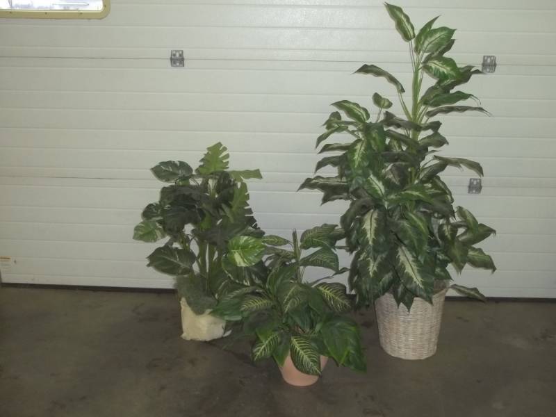3 Artificial Plants