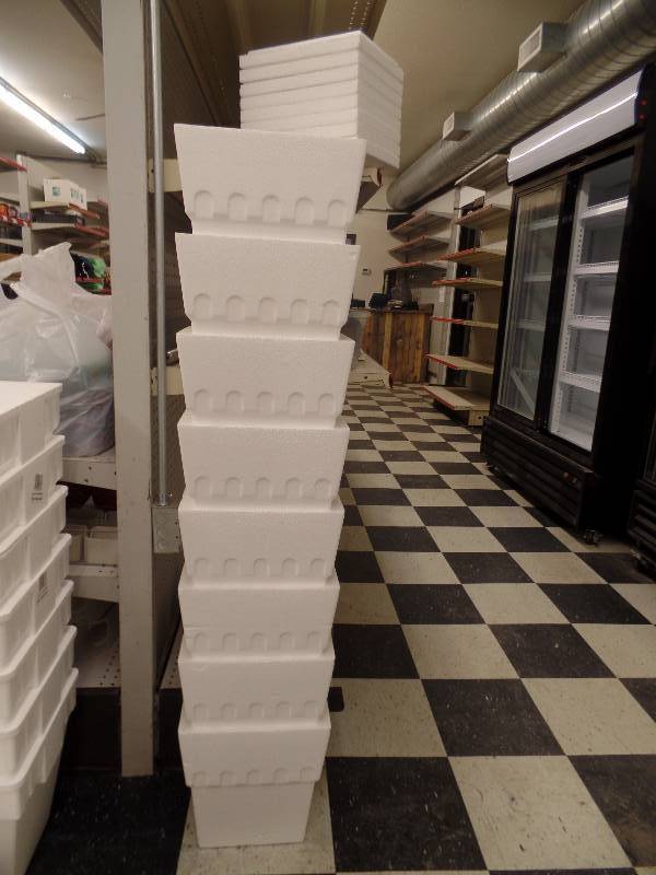 lot 31 image: 13 Quart Styrofoam Cooler w Lids