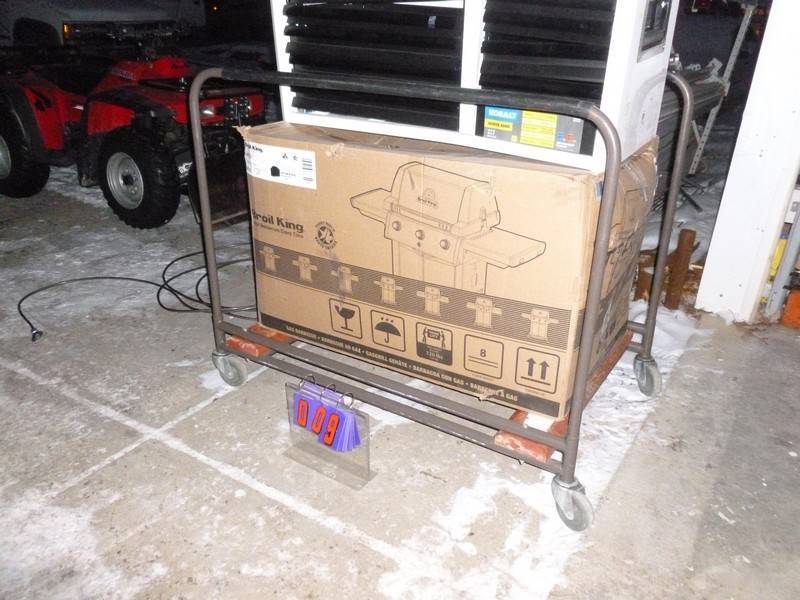 SnS Auctions # 300 Early Winter Sale