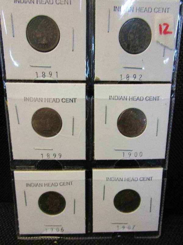 lot 12 image: (6) Indian Head Pennies