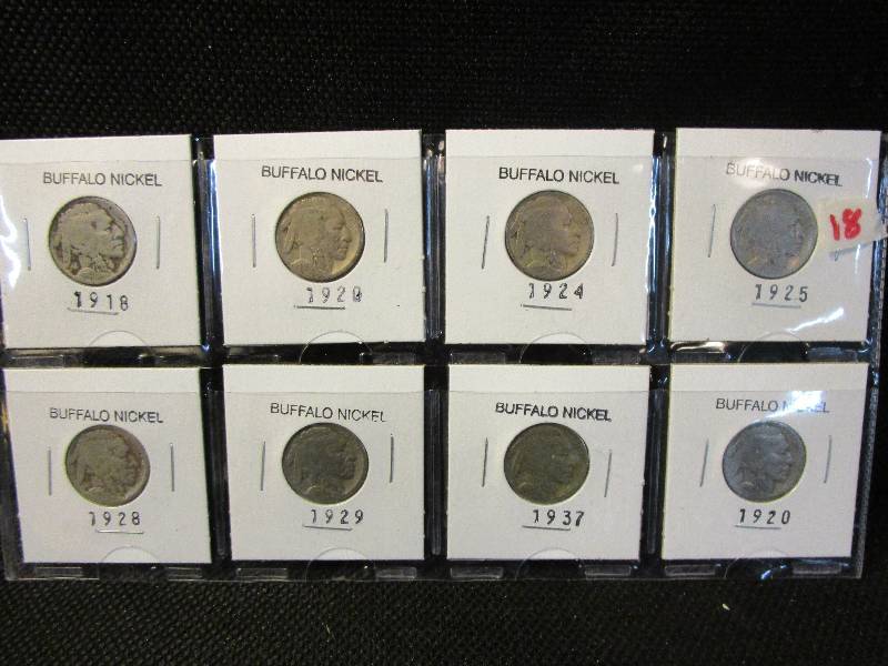 lot 18 image: (8) Buffalo Nickels