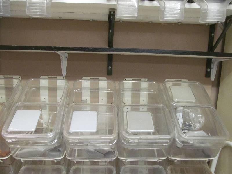 Vita Food Storage Bins