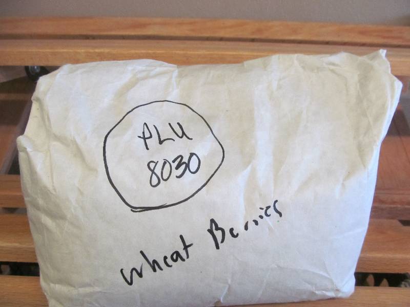 wheat berries